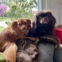 Sitter Profile Image: Kyle R.