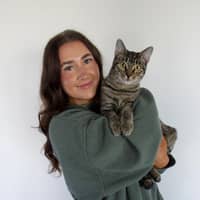 Sitter Profile Image: Abigail P.