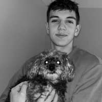 Sitter Profile Image: Gavin S.