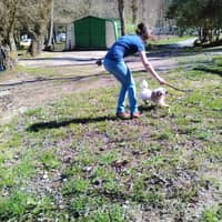 Photo de profil du pet sitter : Daphné S.