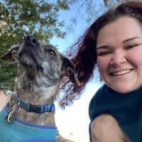 Sitter Profile Image: Angelica M.