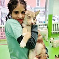 Sitter Profile Image: Bianca A.