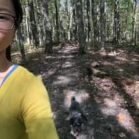 Sitter Profile Image: Lily B.