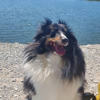 Sitter Profile Image: Lisa Marie R.