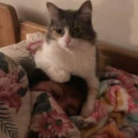 Sitter Profile Image: Vivian A.