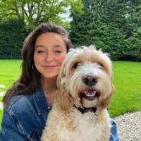 Sitter Profile Image: Tara S.