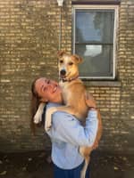 Sitter Profile Image: Signe D.