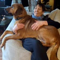 Sitter Profile Image: Jenny S.