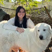 Sitter Profile Image: Kayla C.