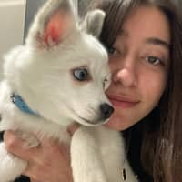 Sitterprofilbild: Meva Y.