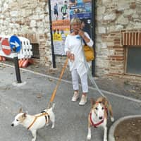 Immagine del profilo del sitter: Daniela D.