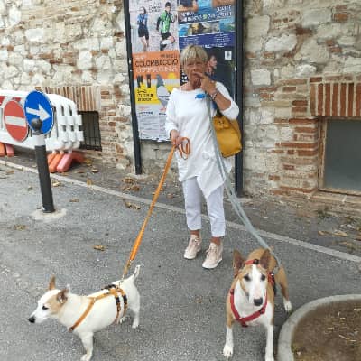 Immagine del profilo del sitter: Daniela D.