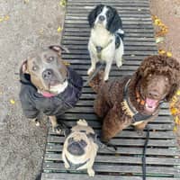 Passarens profilbild: Therese H.