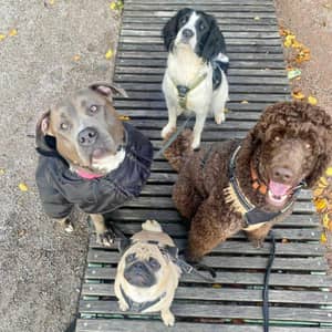 Sitter Profile Image: Therese H.