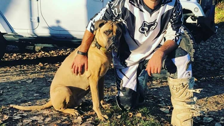 Best Dog Boarding In Pleasant Hill Ia Rover Com