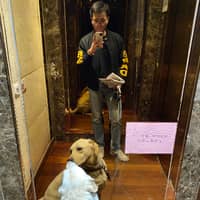 Sitterprofilbild: Yongkang S.