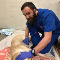 Sitter Profile Image: Cole P.