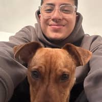 Foto del cuidador: juan L.