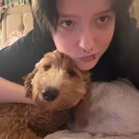 Sitter Profile Image: Joey H.