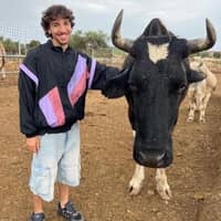 Immagine del profilo del sitter: Gianmarco C.