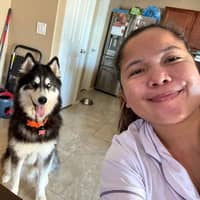 Sitter Profile Image: Andrew O.