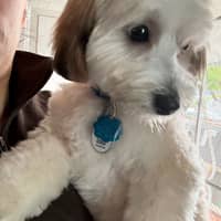 Sitter Profile Image: Sandra C.