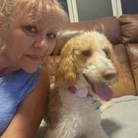 Sitter Profile Image: Nancy B.