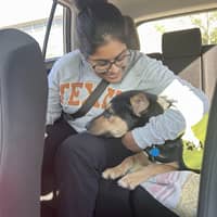 Sitter Profile Image: Sandhya T.