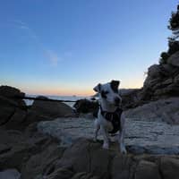 Photo de profil du pet sitter : Lou S.