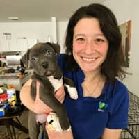 Sitter Profile Image: Ali W.