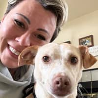 Sitter Profile Image: Alina S.