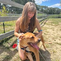 Sitter Profile Image: Elisabet K.