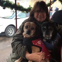 Sitter Profile Image: Beth N.