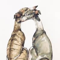 Passarens profilbild: Torgny N.