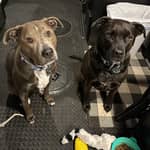 Sitter Profile Image: Kelly D.