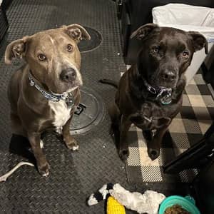 Sitter Profile Image: Kelly D.