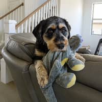 Sitter Profile Image: Michael W.