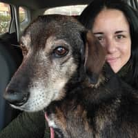 Immagine del profilo del sitter: Enrica L.