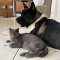 Sitterprofilbild: Enola B.