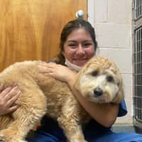 Sitter Profile Image: Stephanie P.