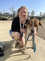 Sitter Profile Image: Abby B.