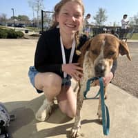 Sitter Profile Image: Abby B.