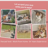 Sitter Profile Image: Alysha M.