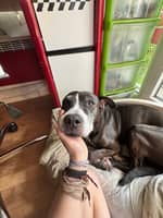 Photo de profil du pet sitter : Doriane V.