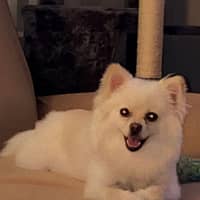 Sitter Profile Image: Belynda H.