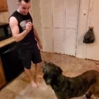 Sitter Profile Image: Jamison J.