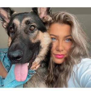 Dog shop sitter scarborough