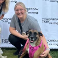 Sitter Profile Image: Sophia M.