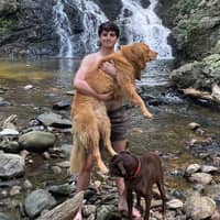 Sitter Profile Image: Ilan O.