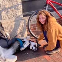 Sitter Profile Image: Amanda S.